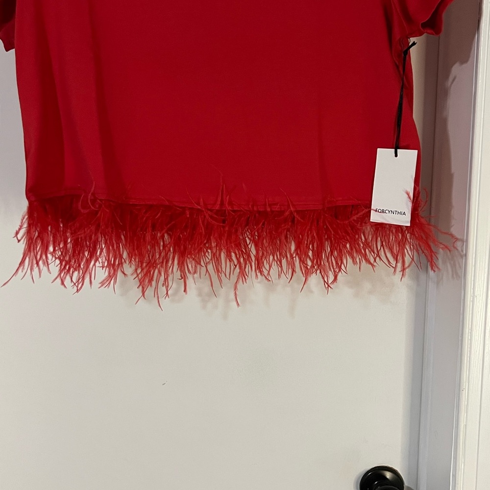 For Cynthia Red Embellished Crop T-Shirt Sz XL NWT - Picture 3 of 5